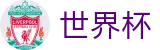 美加墨世界杯_品牌中文服务总站